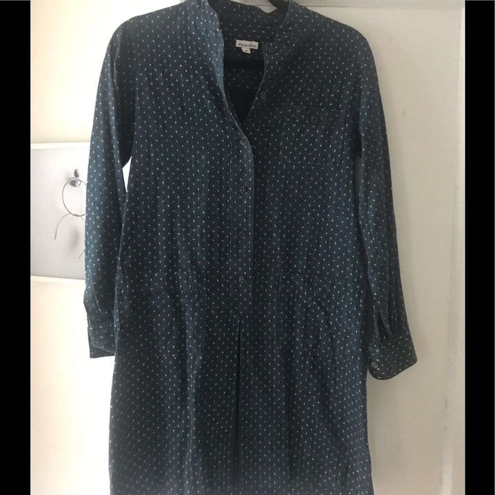 Super cute button down Steven Alan dress